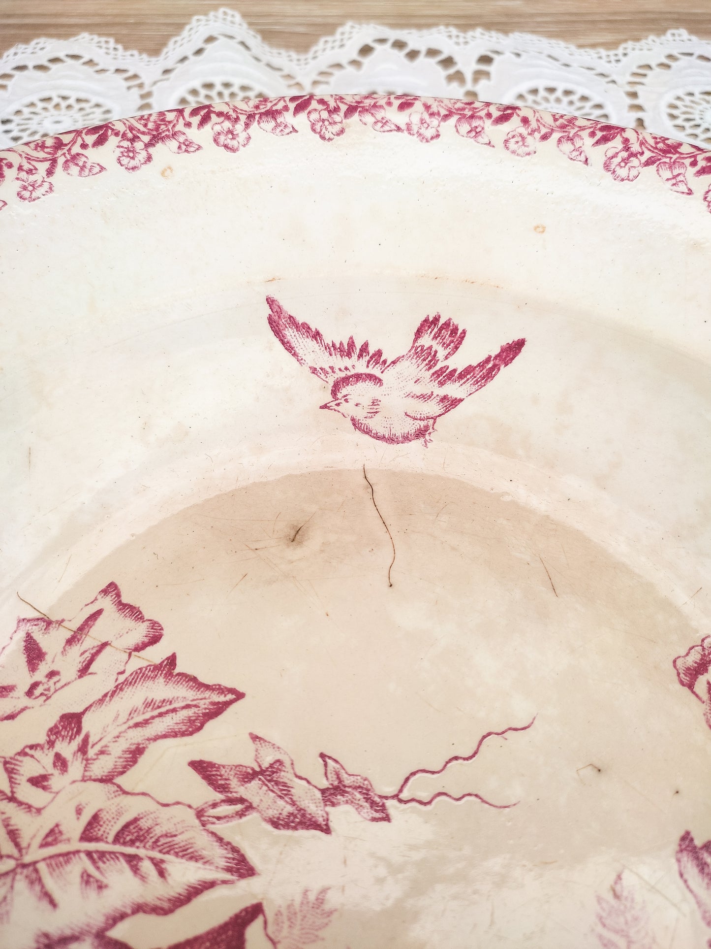 Assiette creuse oiseau