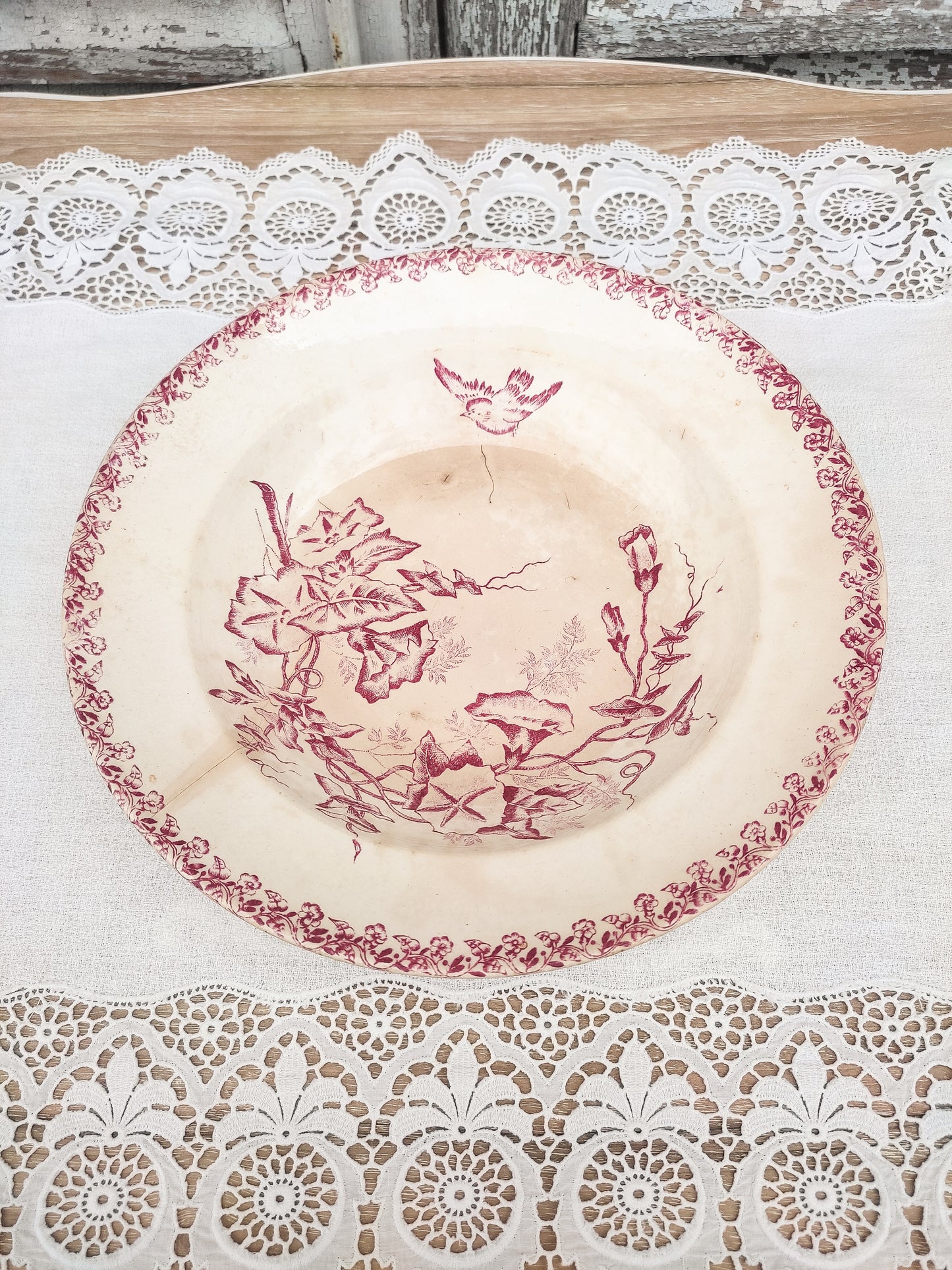 Assiette creuse oiseau