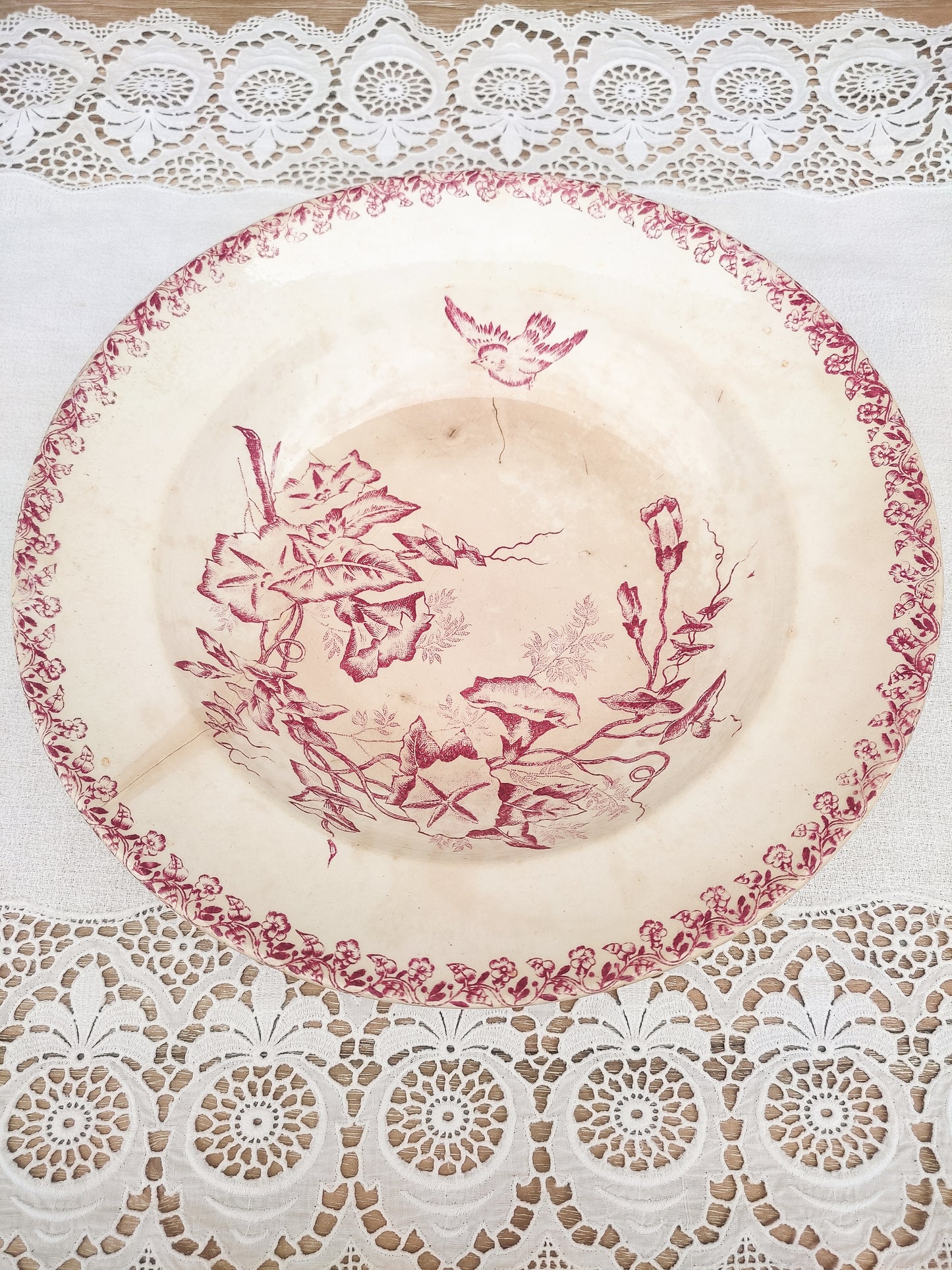 Assiette creuse oiseau