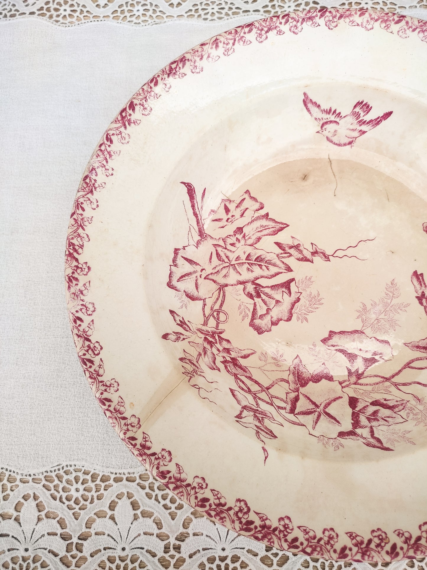 Assiette creuse oiseau