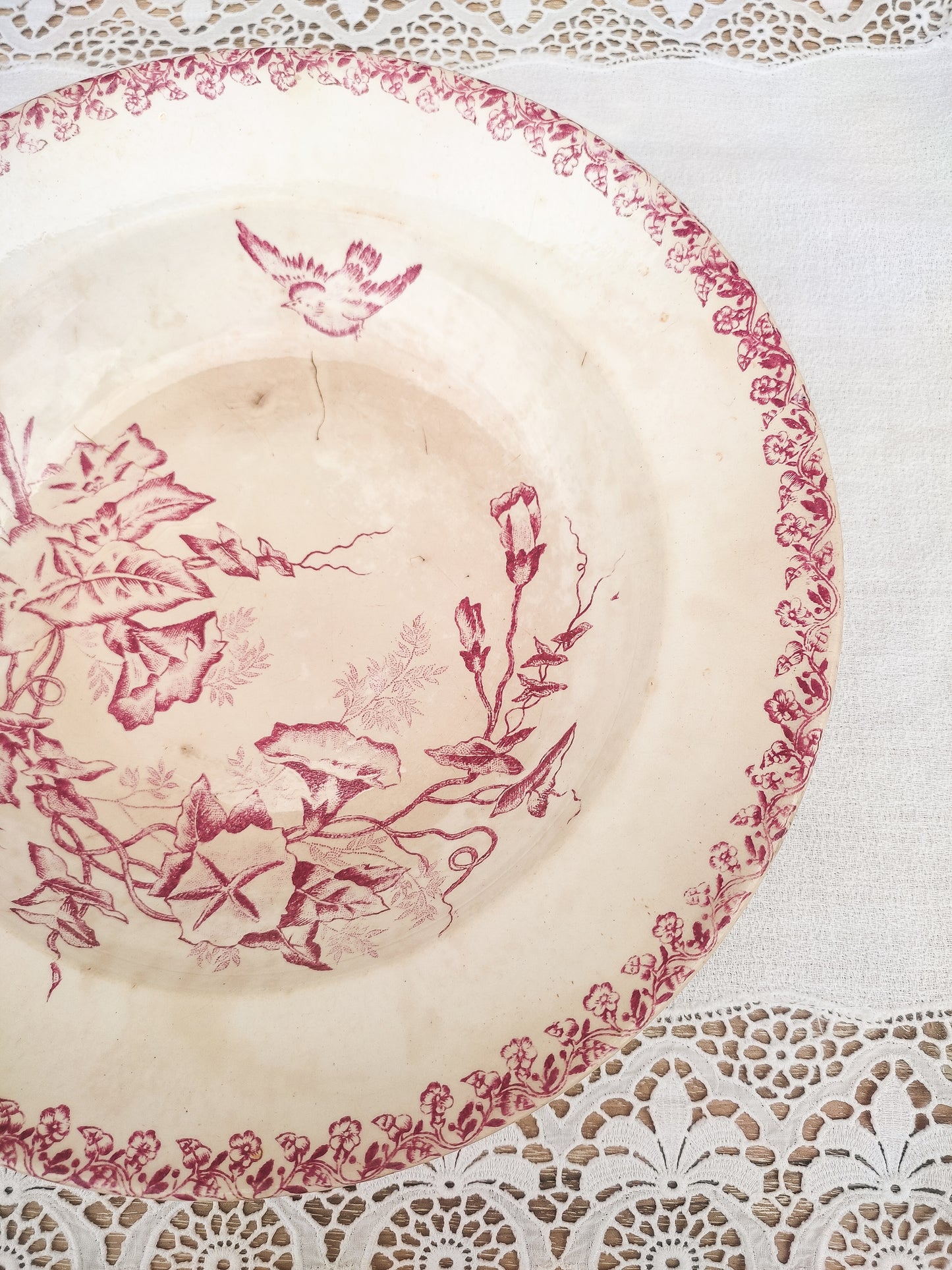 Assiette creuse oiseau