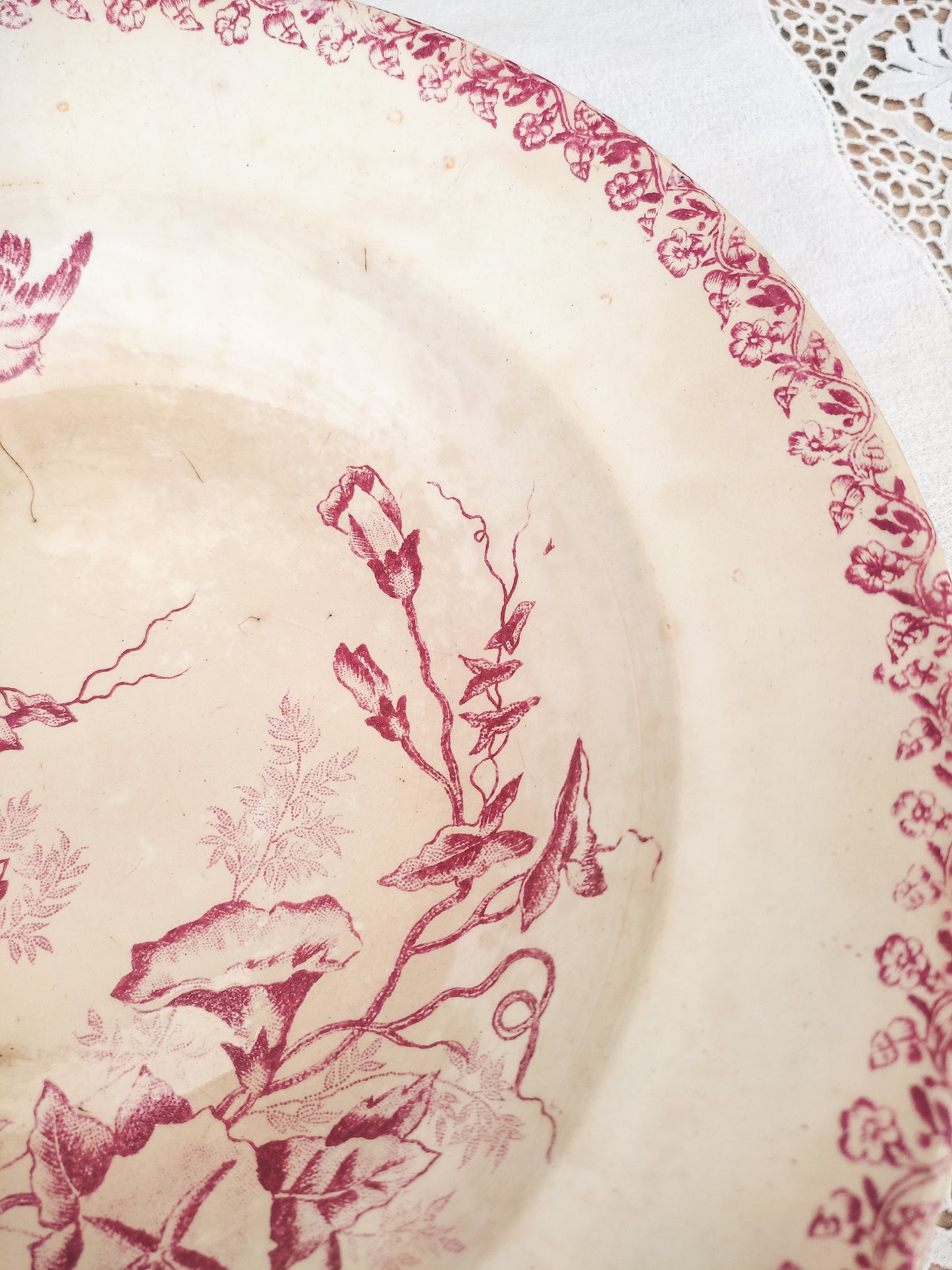 Assiette creuse oiseau