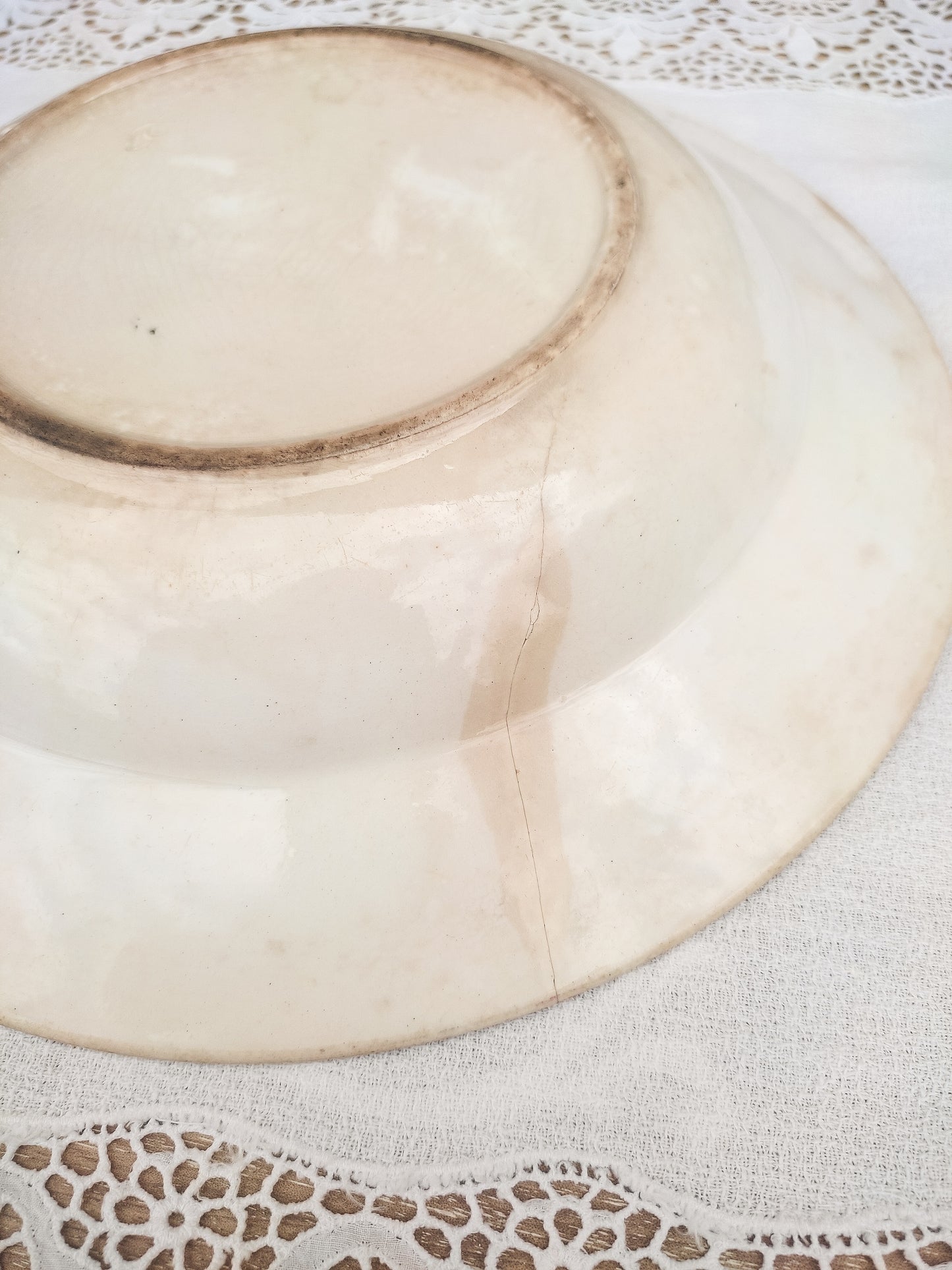 Assiette creuse oiseau