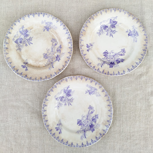 Assiettes à dessert Flore U&C x3